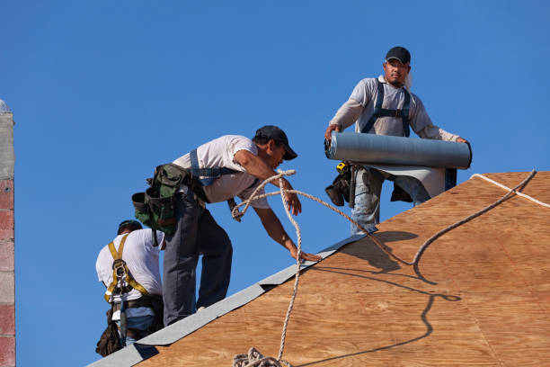 Best Roof Waterproofing Services  in Dunlap, IL
